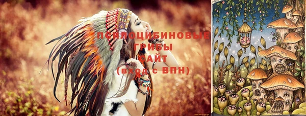 твердый Приозерск
