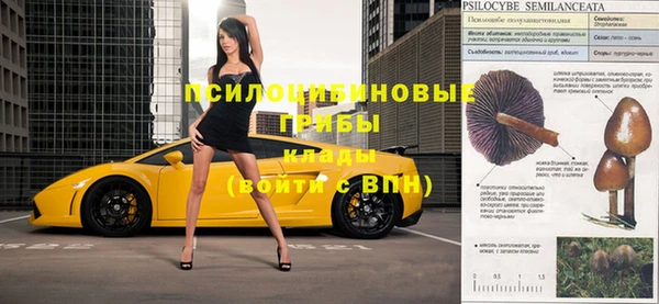 хмурый Абинск