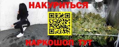 трава Лесосибирск