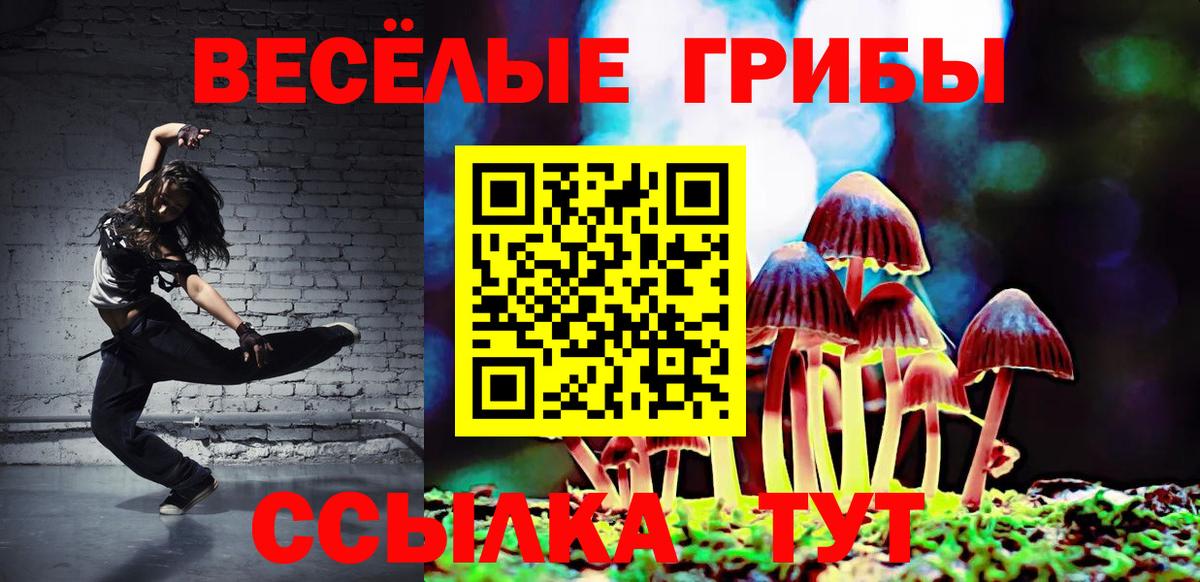 Галлюциногенные грибы MAGIC MUSHROOMS Зеленодольск